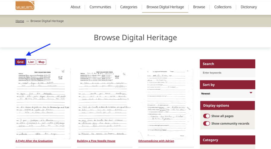 Grid view of Browse Digital Heritage items